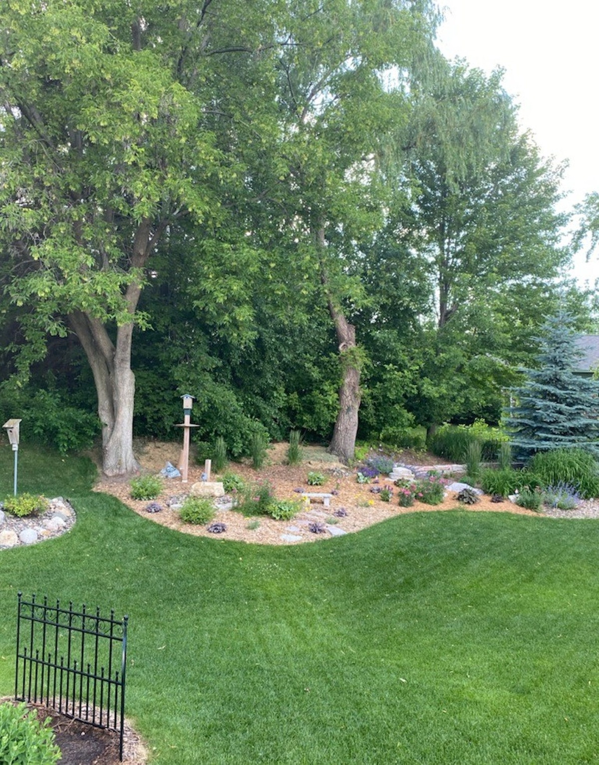 Photo 23